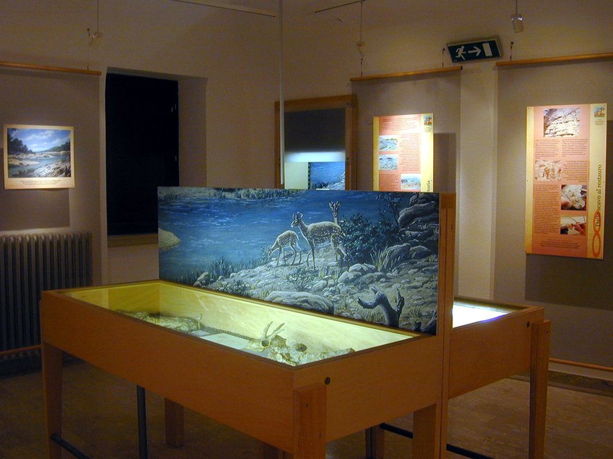 Centro di Documentazione Paleontologico a Scontrone