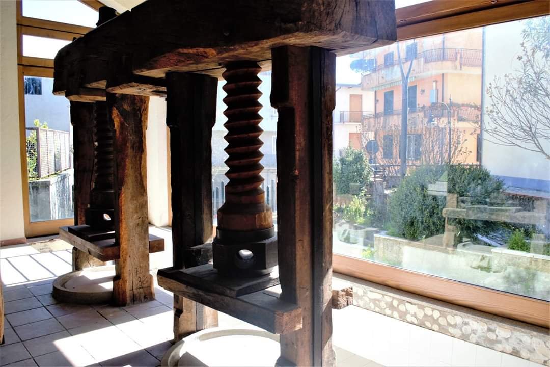 Museo della Civiltà contadina