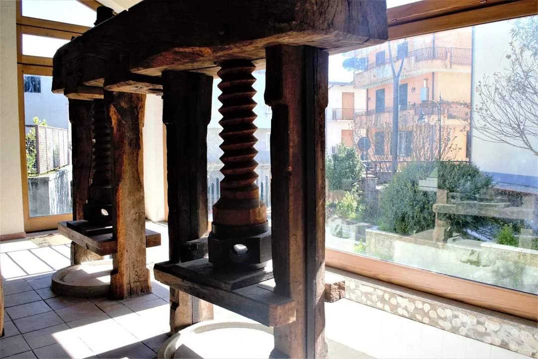 Museo della Civiltà contadina