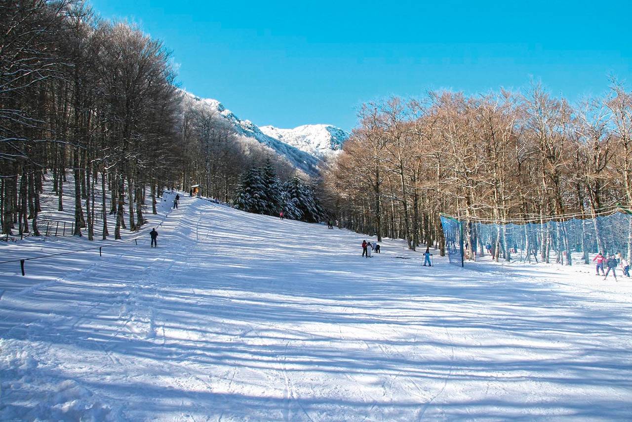 Piste da sci della Montagna Grande di Viggiano immerse nella faggeta dell'Appennino Lucano