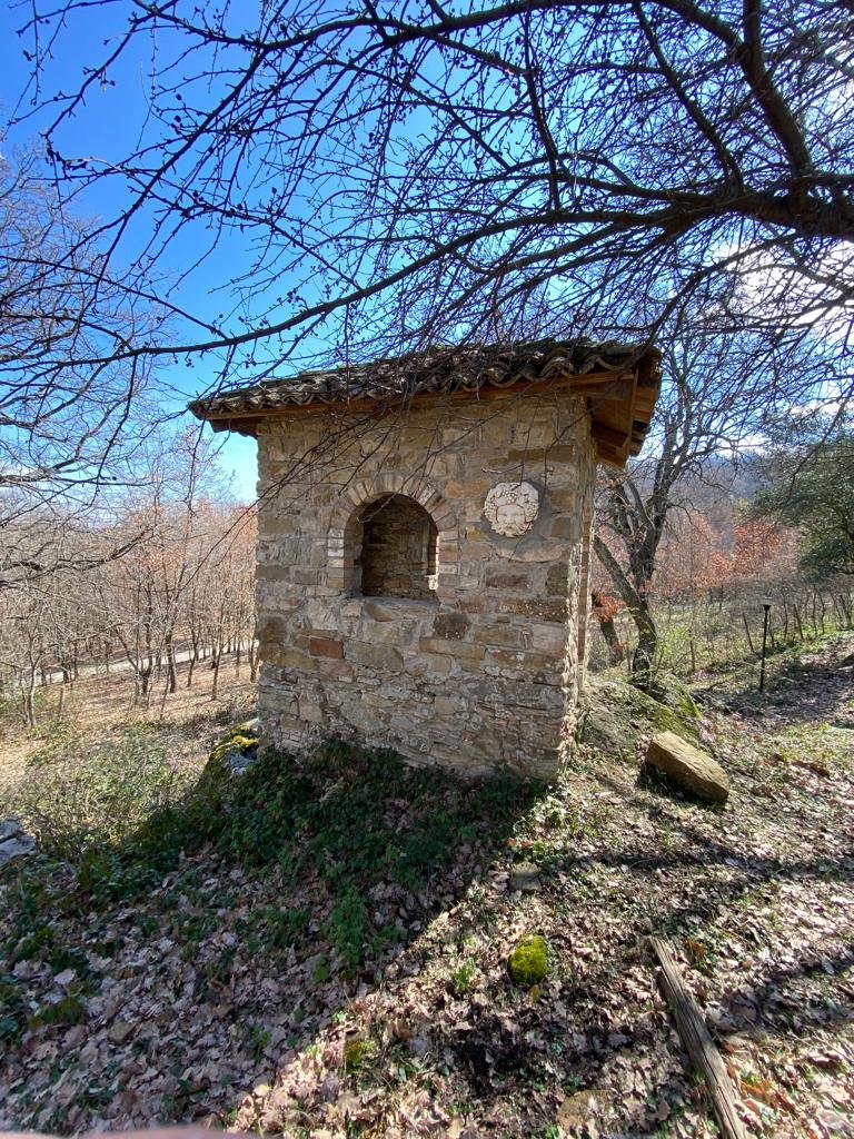 Il Palmento