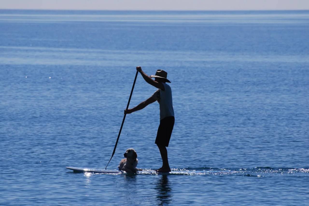 SUP - Stand Up Paddle - presso il Lago di Vico