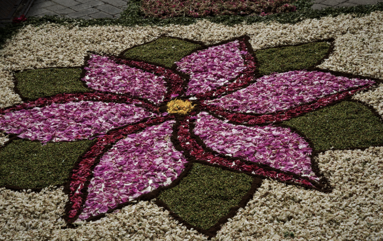 Infiorata del Corpus Domini — Sant'Agata de' Goti