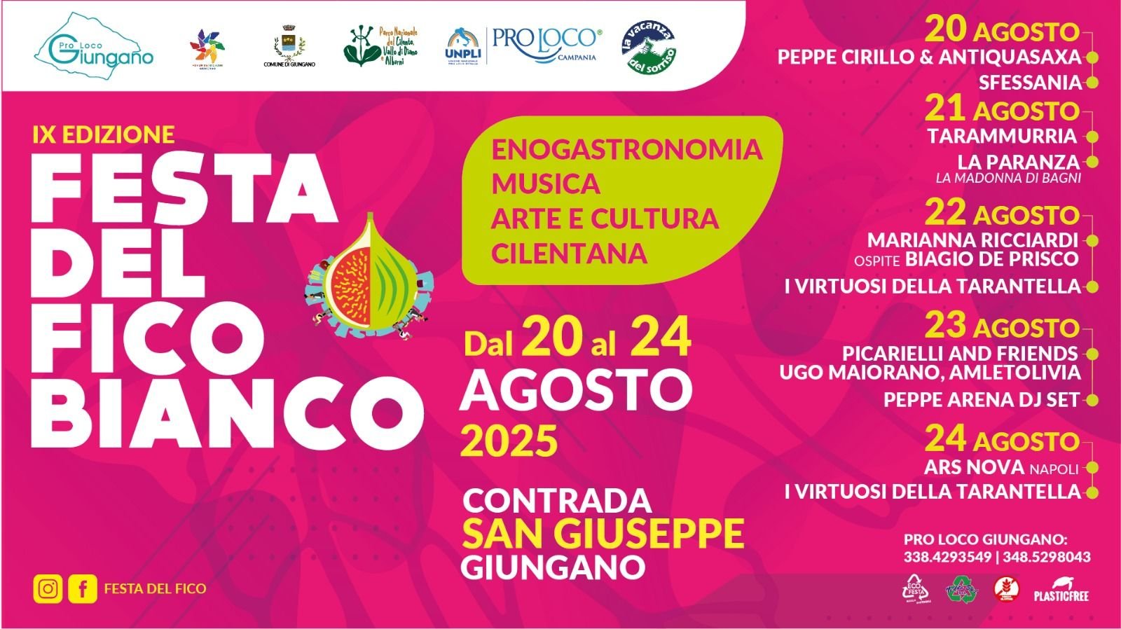 Locandina IX Festa del Fico Bianco - 2025 a Giungano (Salerno)
