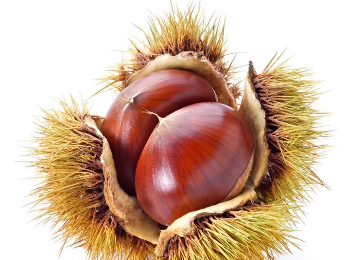 Locandina Festa delle Castagne a Bore (Parma)