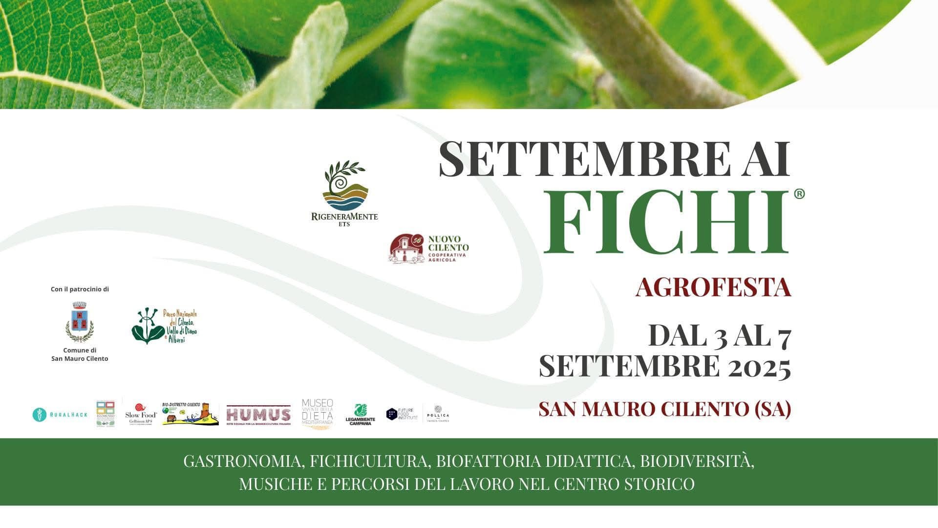 Locandina Settembre ai Fichi – AgroFesta 2025 a San Mauro Cilento (Salerno)