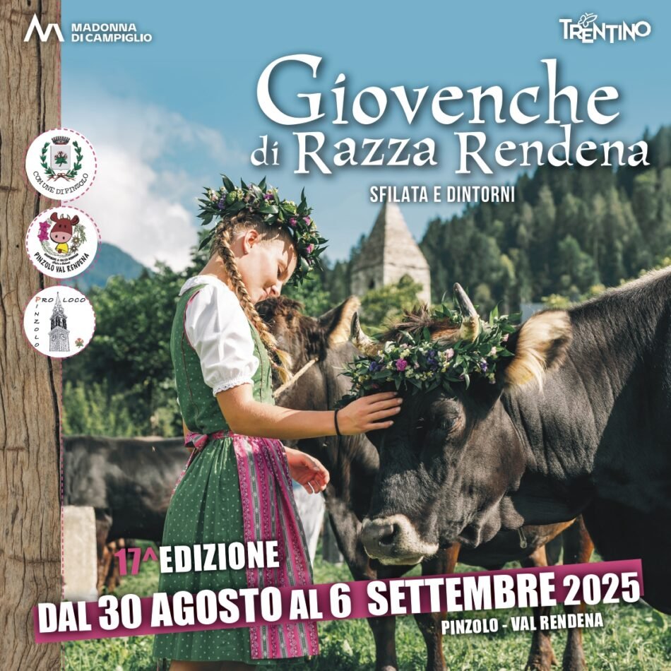 Locandina Giovenche di razza Rendena – Sfilata e dintorni a Pinzolo (Trento)