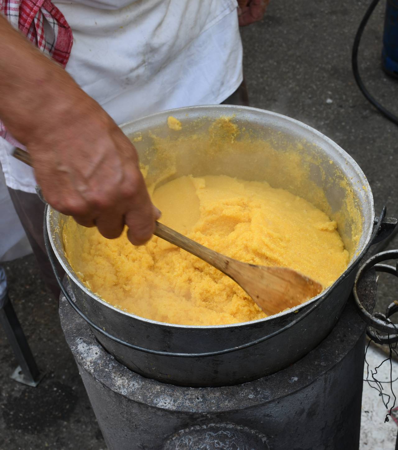 Sagra della Polenta — Guardistallo