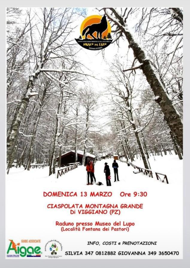 Ciaspolata - Montagna Grande — Viggiano
