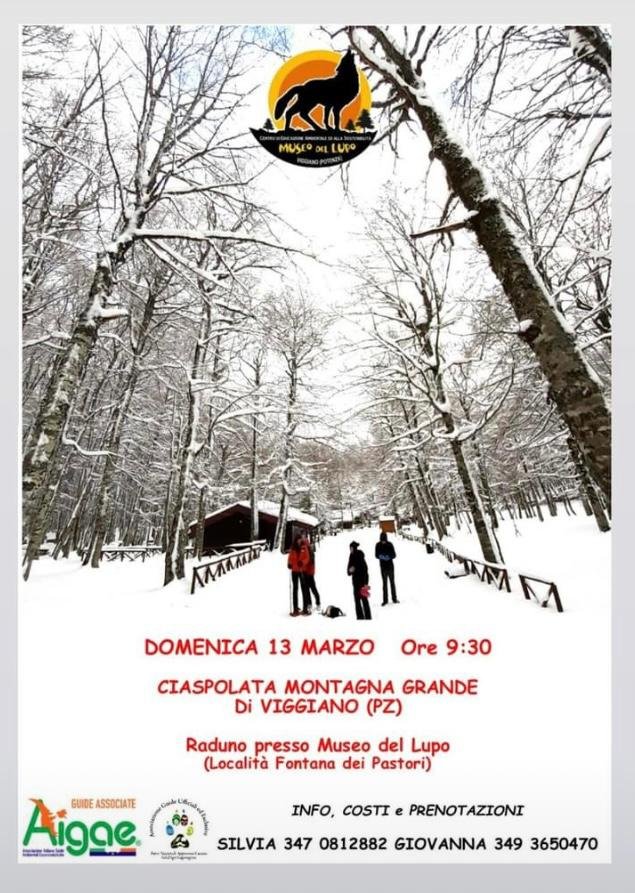 Locandina Ciaspolata - Montagna Grande a Viggiano (Potenza)