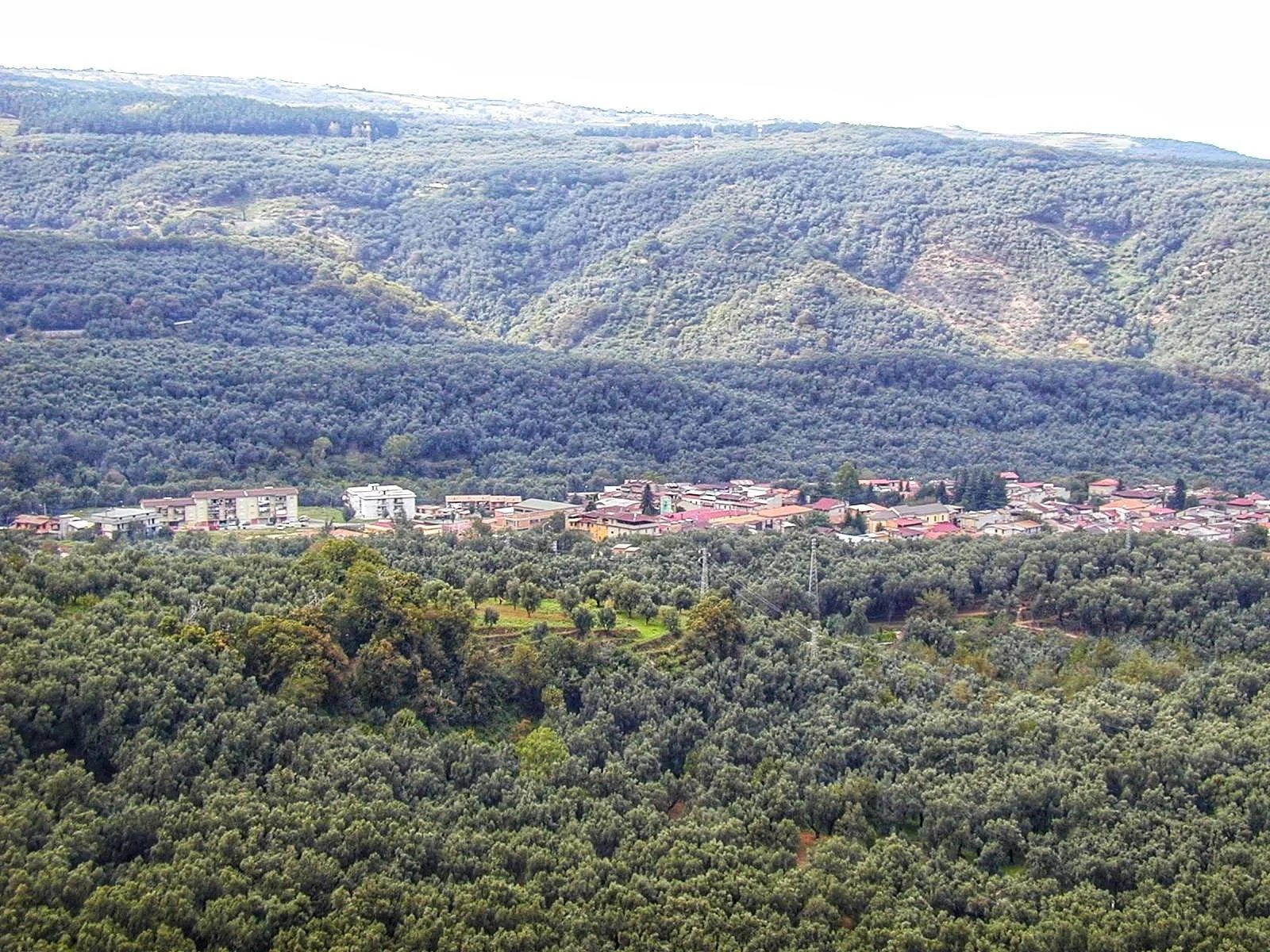 Scido (RC)