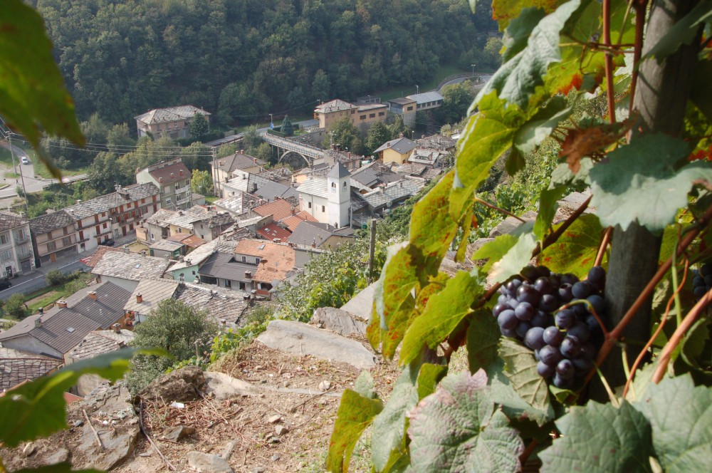 Pomaretto (TO)
