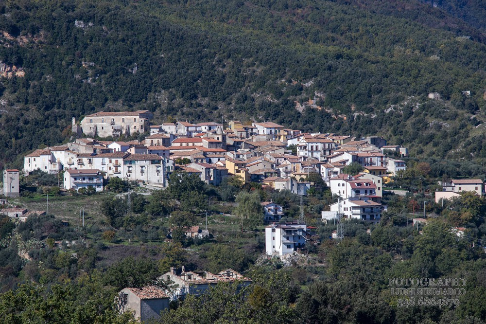 San Donato di Ninea (CS)