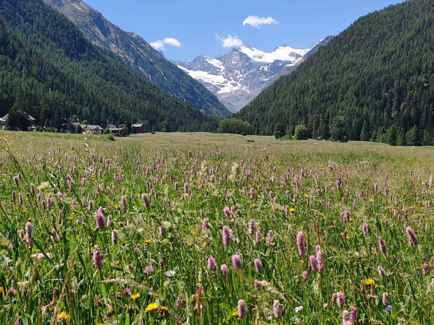 Prati di Sant'Orso a Cogne