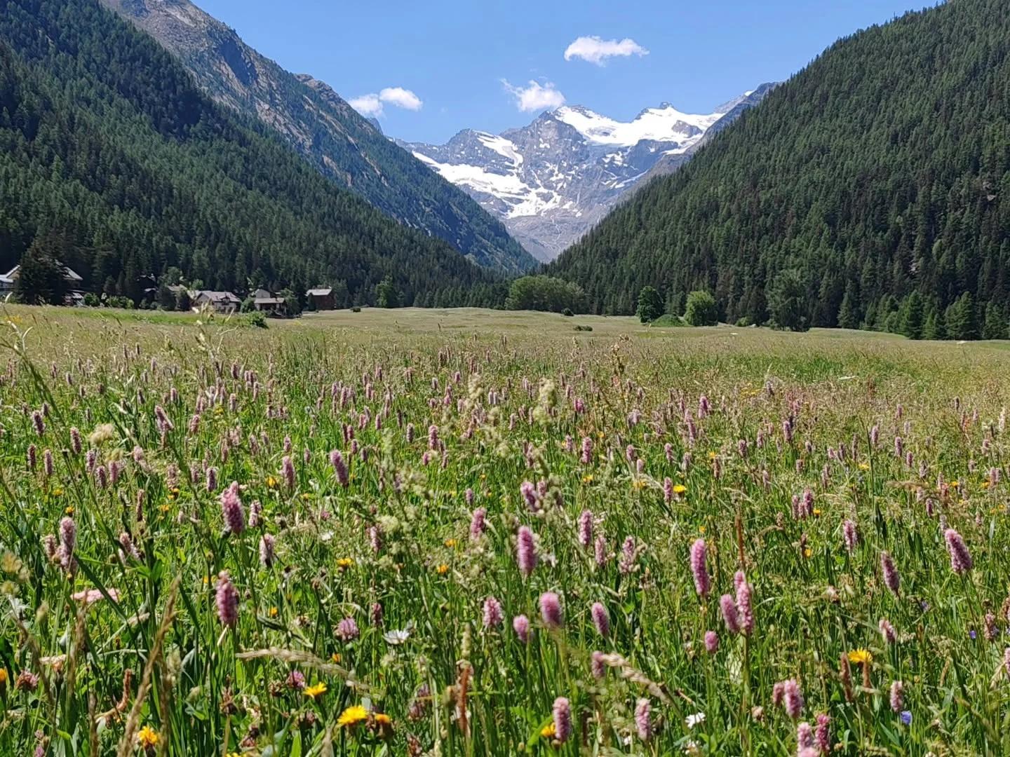 Prati di Sant'Orso a Cogne
