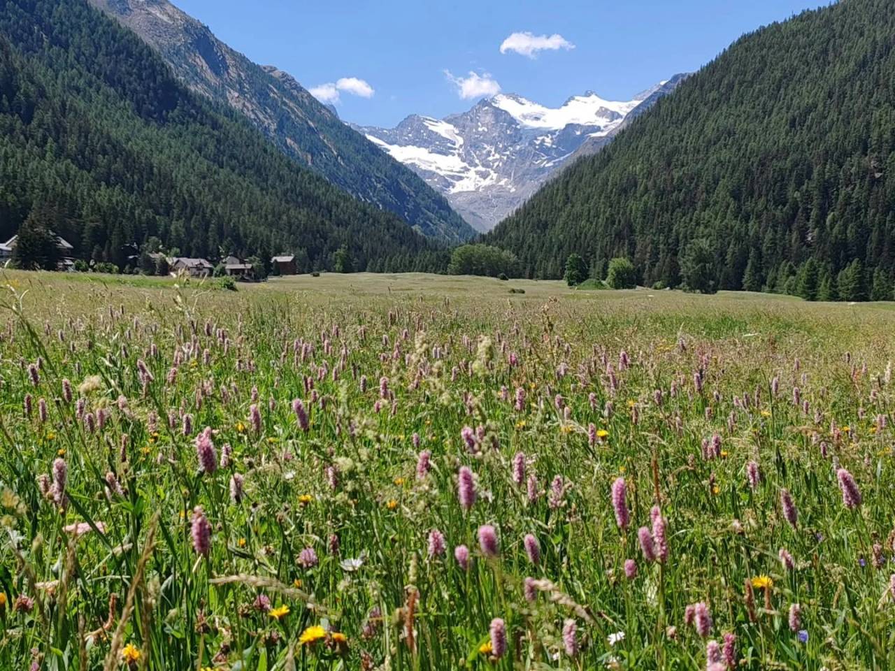Prati di Sant'Orso a Cogne